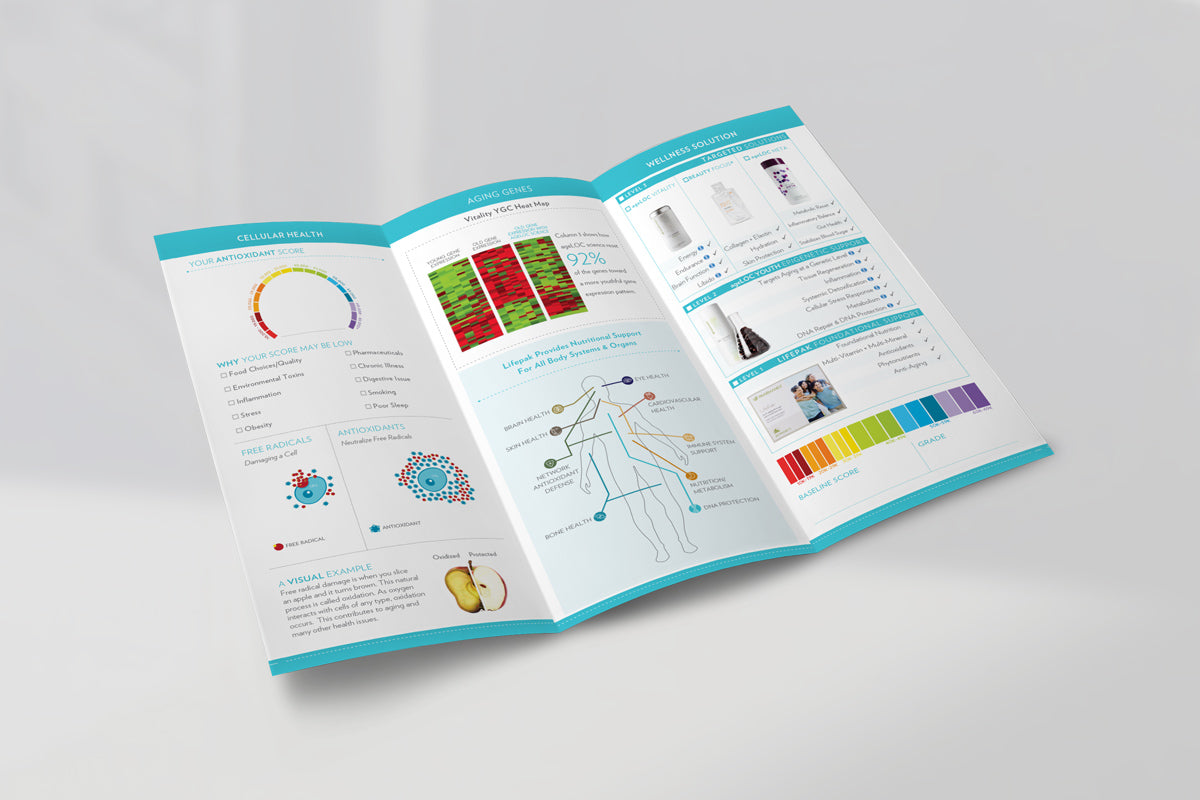 OTG Brochure