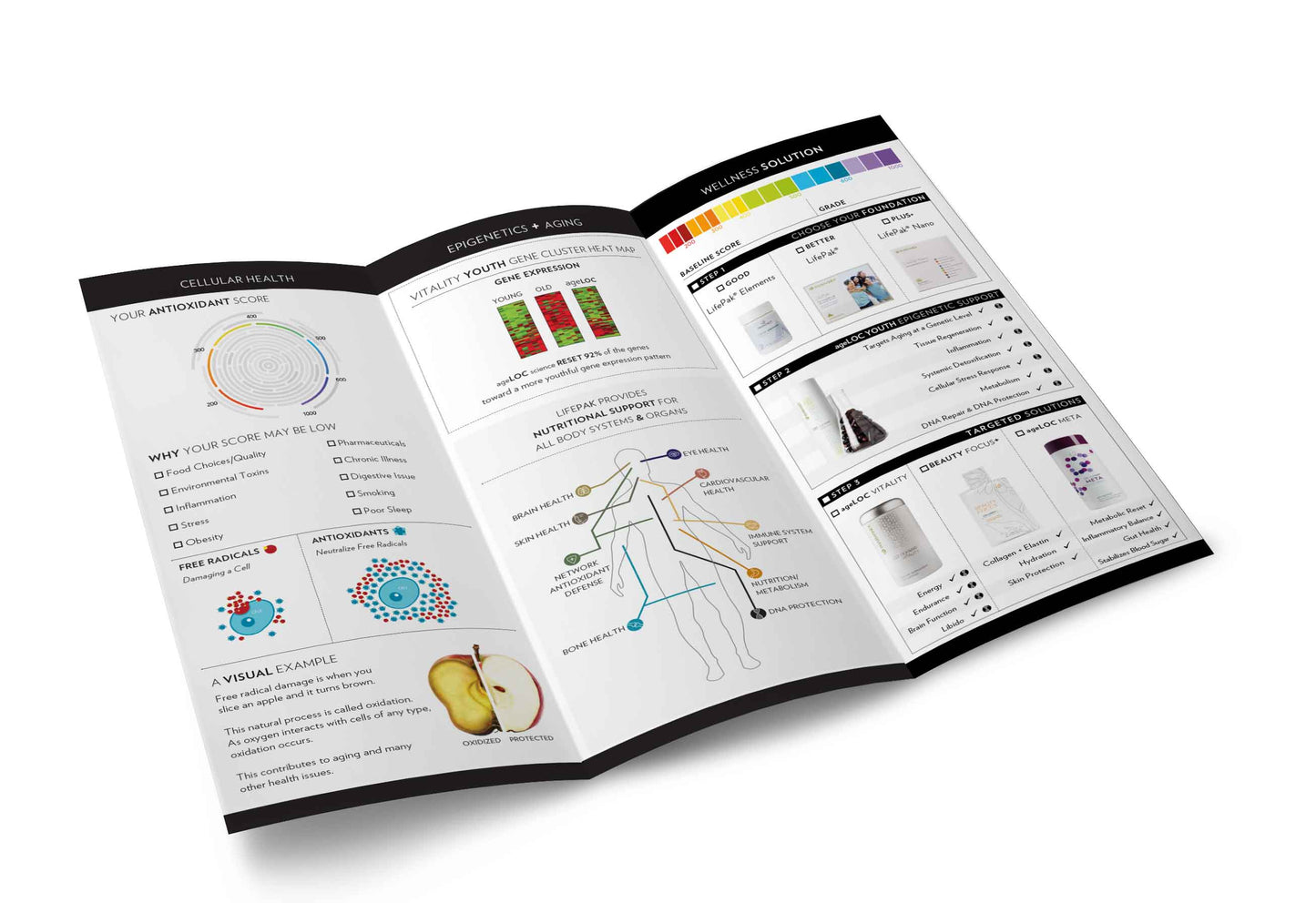 Custom Scan to Close