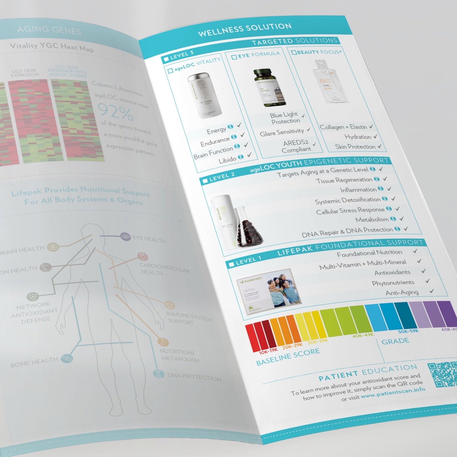 The freshly designed inside of the Eye brochure with the new patient flow and nutritional products available.